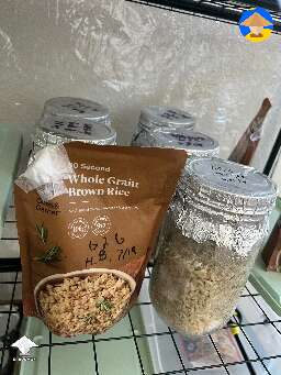 Did some g2g transfers today. Got 5 jars and 4 “instant rice” bags colonizing now