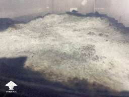 Dry mycelium crust - overlay