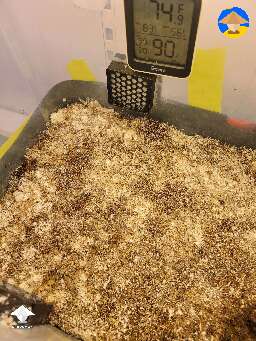 Moved cubes to monotub. Saw exponential growth for the first week, then stalled. Normal or should I be worried?