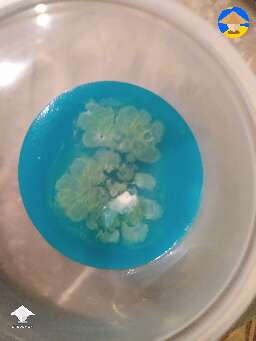 Contamination can be beautiful