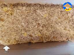 Yellowish myc from the prev jar