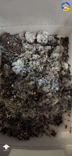 Contaminated?
