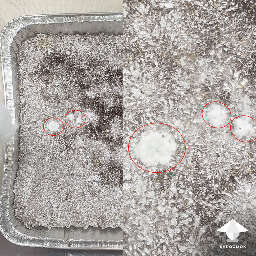 Early stage of mold contamination