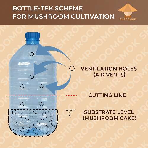 Bottle tek scheme for mushroom cultivation