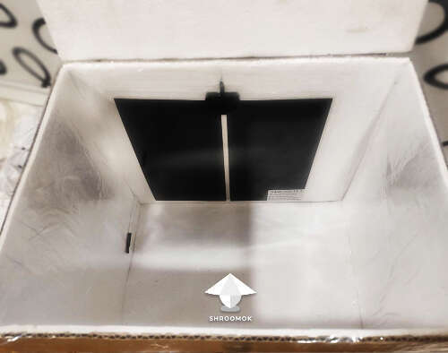 Incubation chamber for mushroom growing with heating pad and thermostat