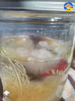 First liquid culture. I've left it for 2 weeks and these spots formed on top. Are they new mycelium growing or contamination? #2