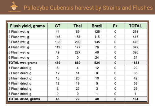 Psilocybe cubensis harvest by strains and flushes statistic table