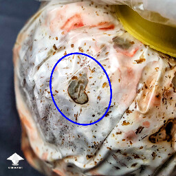Penicillium mold vs mushroom mycelium