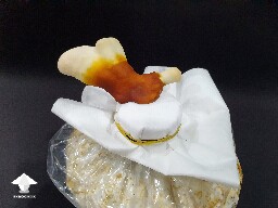 Day-to-day Reishi growing diary 680e206205fc5