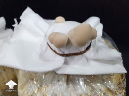 Day-to-day Reishi growing diary 680e206b7d518