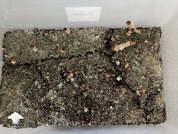 Trouble distinguishing update - Noticing a bunch more pins
