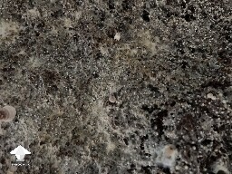 Trouble distinguishing update - more pins