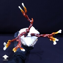 Day-to-day Reishi growing diary 68909a466d883