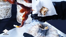 Day-to-day Reishi growing diary 68945d275f693