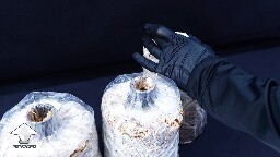 Day 90. Changing filters & preparing bags for Cold Storage