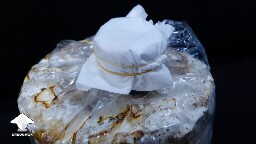 Day 90. Reishi fruiting bag with new protective filter