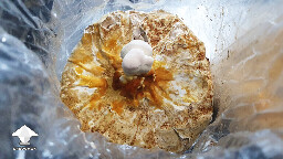 Day 145. Reishi pin - bag 1