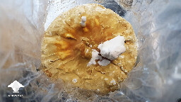 Day 145. Reishi pinning - bag 4