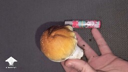 Cubensis PE6 fat mushroom #4