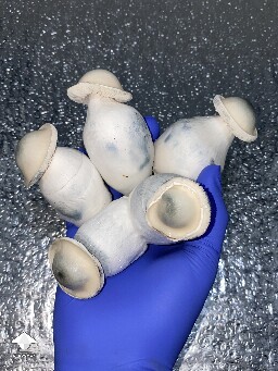 Harvested Trinity mushrooms