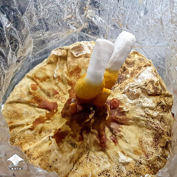 Day 149. Reishi - flush 3 - bag 1