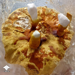 Day 149. Reishi - flush 3 - bag 2