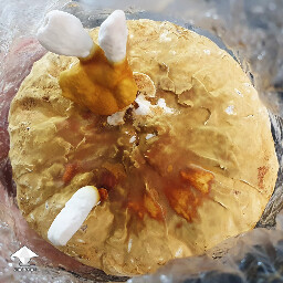 Day 149. Reishi - flush 3 - bag 4