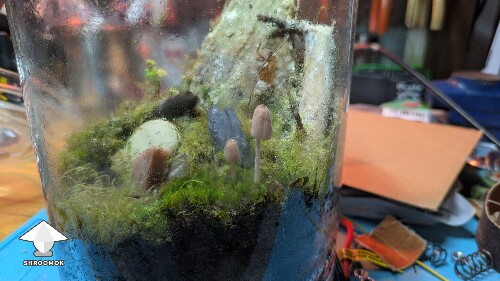 Thumbnail: Unusual closed florarium experiment 68c01a8ad7b8d