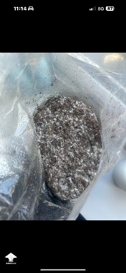 Fruiting 68c9cc03d3f4a