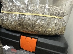 Grow Bag problems 68d39aa282b9e