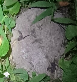 Can't get identified - 3
