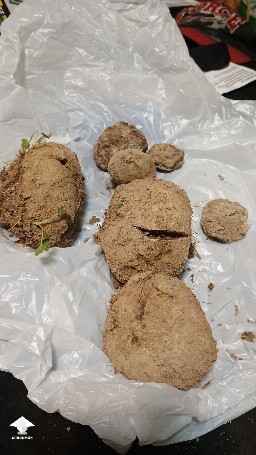 Can't get identified - 3