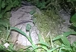 Can't get identified - 2