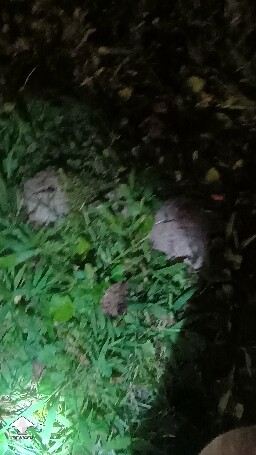 Can't get identified - 1