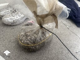 Grow Bag problems 68d91c4881fb7