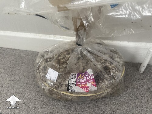 Thumbnail: Grow Bag problems
