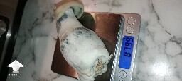Nutcracker became my favourite strain