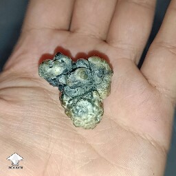 This mutation looks like brain cancer 🧠🦠