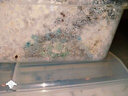 Contaminated cake. Cranked up colors. Looks cool