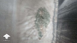 First grow failed - they told me a grow kit would be easier #3