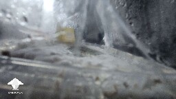 Grow kit failed - mold contamination 😭