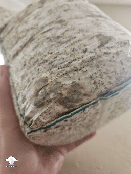How bad is it? What can I do?