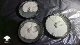 I like how mycelium on agar plate #3 looks