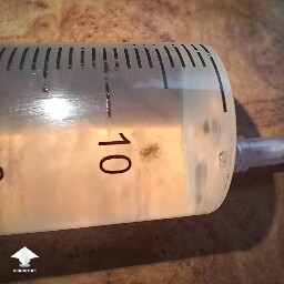 Brown web in LC syringe - is it contamination or just mycelium #2