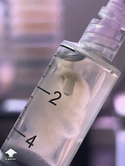 Mushroom in a syringe 🪄✨🍄 LC really fruit