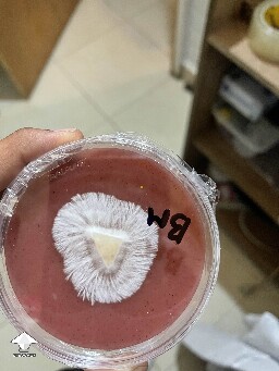 Is it a contamination? This dot yellow