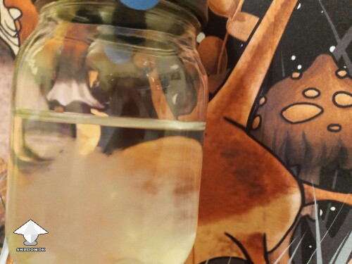 Healthy Liquid Culture