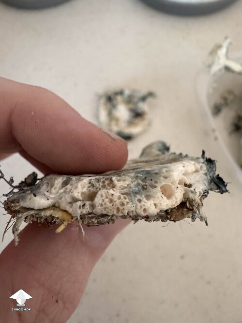 Scary clumps, bubbly texture! Should I toss the tub this came from?