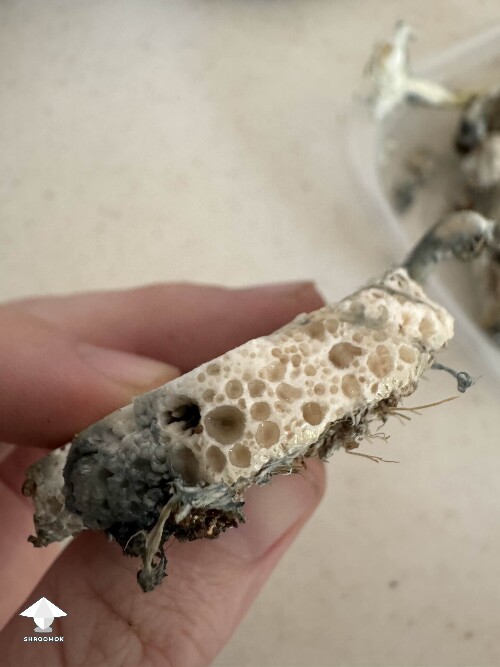 Scary clumps with bubbly texture - should I toss the tub this came from