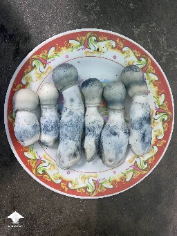 Albino Penis Envy for breakfast 🤤